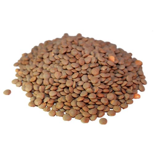 Whole-Brown-Lentils_sabut_masoor1