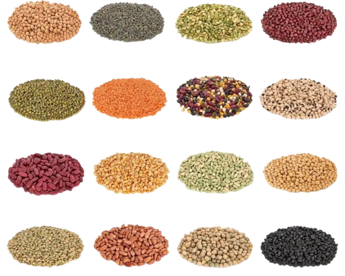 pulses-collection